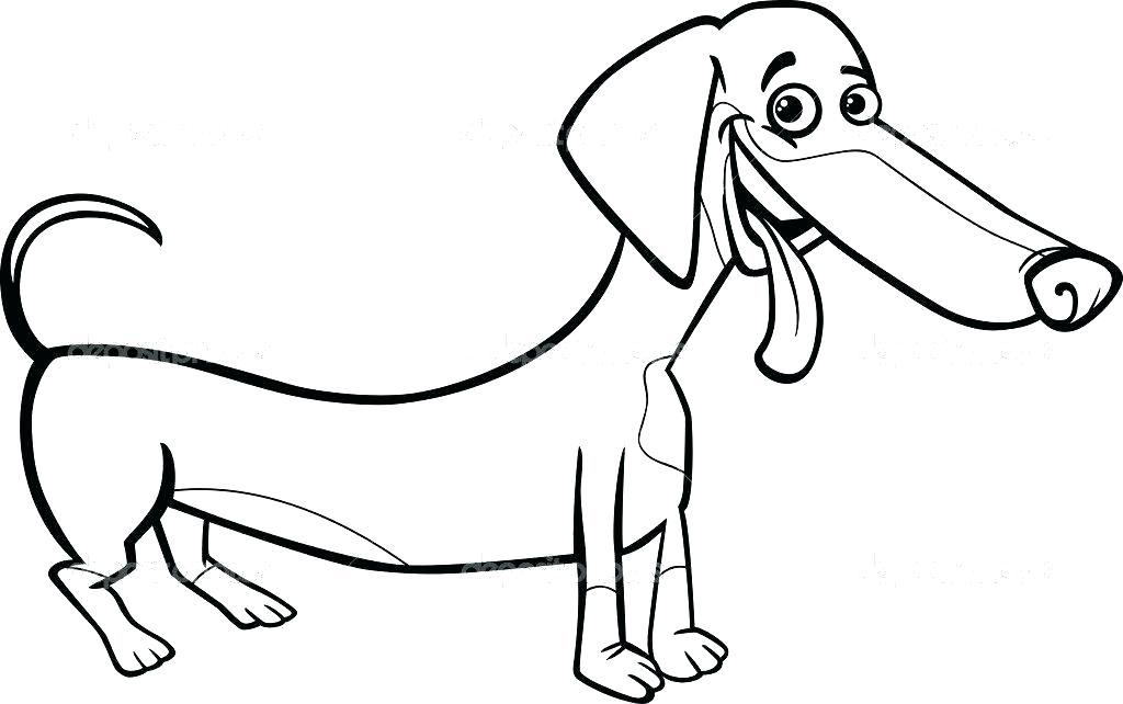 Dachshund Coloring Pages Dachshund Coloring Pages Dachshund 1024x642 Dachshund Coloring Pages Dachshund Coloring Pages Dachshund