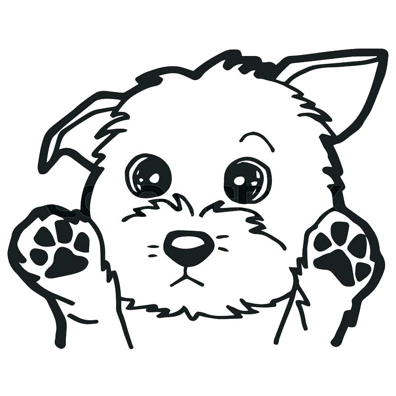Dog Coloring Page Cartoon Dog Coloring Pages A Cute Page Dog Breed 800x800 Dog Coloring Page Cartoon Dog Coloring Pages A Cute Page Dog Breed
