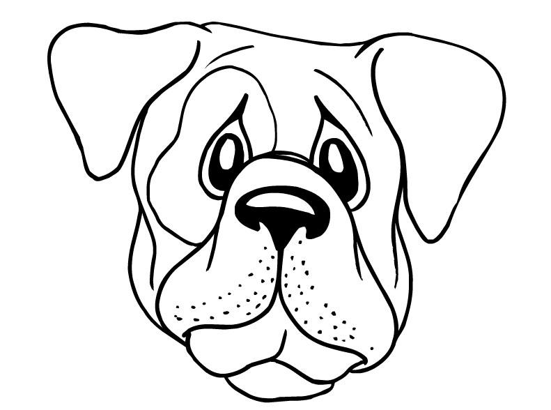 Peaceful Design Dog Face Coloring Pages Page Cartoon 791x588 Peaceful Design Dog Face Coloring Pages Page Cartoon