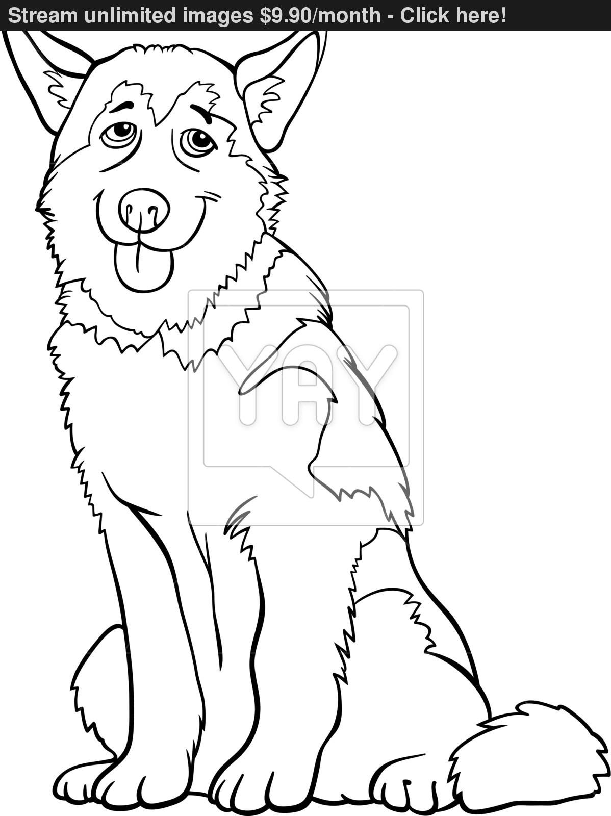 Siberian Husky Coloring Page Pencil Drawing Free Printable Pages 1198x1600 Siberian Husky Coloring Page Pencil Drawing Free Printable Pages