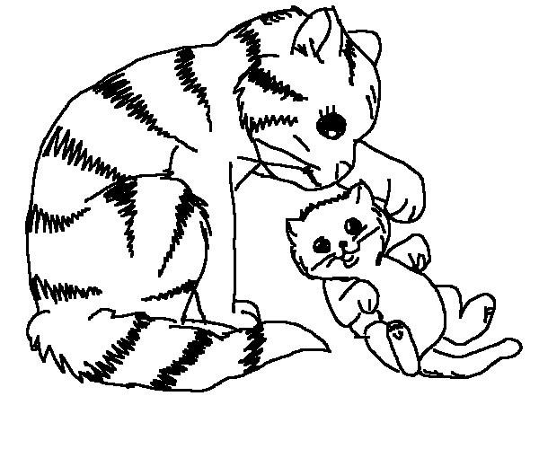 Cat And Dog Coloring Pages 600x500 Cat And Dog Coloring Pages