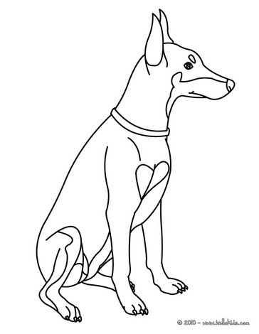Terrier Dog Coloring Pages 364x470 Terrier Dog Coloring Pages
