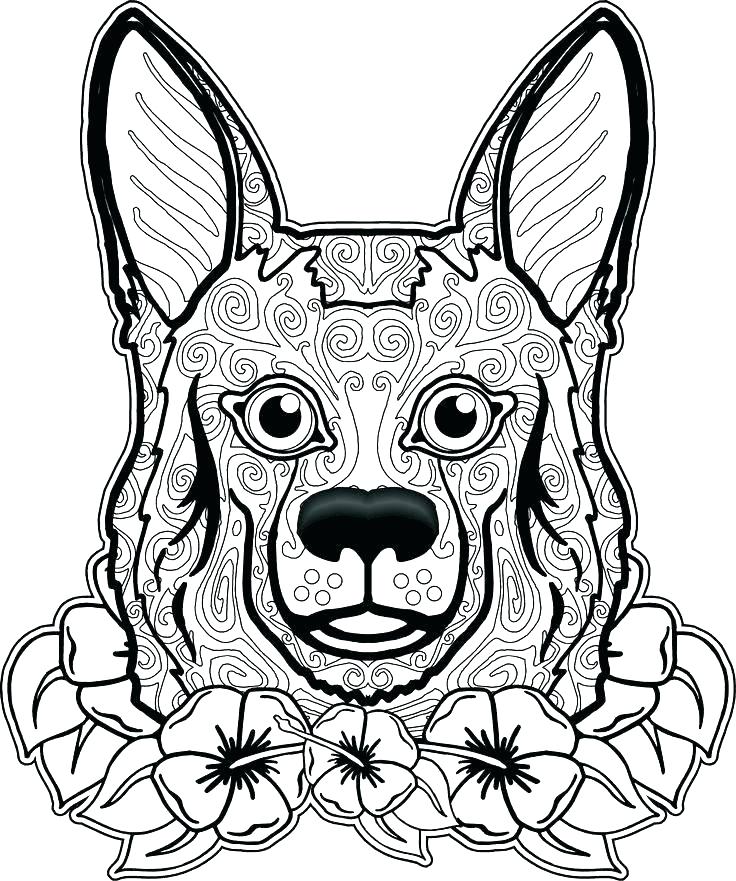 Coloring Dog Coloring Pages For Adults Tetra Animal Tang Adult 736x881 Coloring Dog Coloring Pages For Adults Tetra Animal Tang Adult