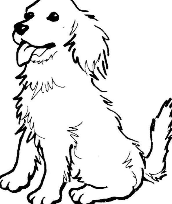 593x705 Printable Dog Dog Breed Coloring Pages Printable Leivancarvalho