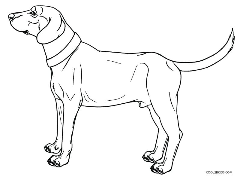 Dog Coloring Page Printable Pages For Kids Toddlers Murs 800x589 Dog Coloring Page Printable Pages For Kids Toddlers Murs