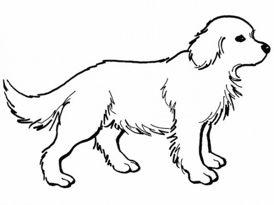 Dog Coloring Pages Free Dog Coloring Pages For Kids Color Pages 550x412 Dog Coloring Pages Free Dog Coloring Pages For Kids Color Pages