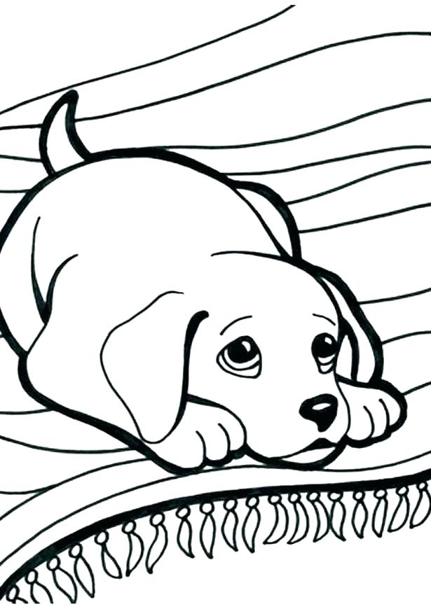615x870 Doggy Coloring Page Color By Numbers Adult Worksheets Dog Coloring