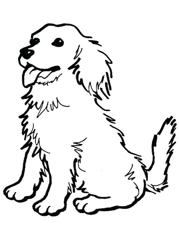 600x800 Dogs Coloring Pages Running Page Dog Colori On Astonishing