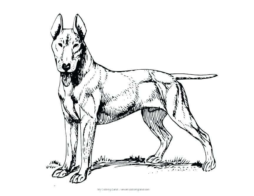 863x667 Free Dog Coloring Pages Free Coloring Pages Dogs Download Free