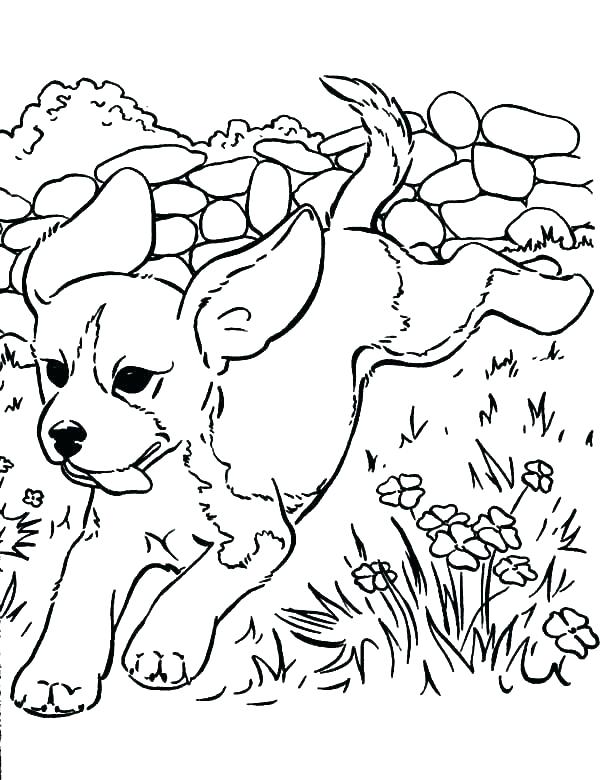 600x780 Free Puppy Coloring Pages Online Online Puppy Coloring Pages 9