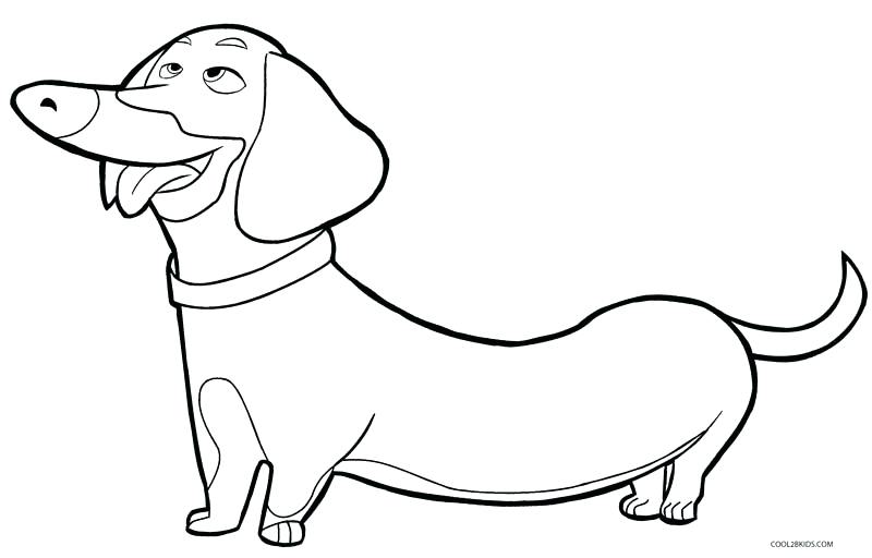 800x512 Coloring Dog Pictures Related Post Cute Dog Coloring Pictures