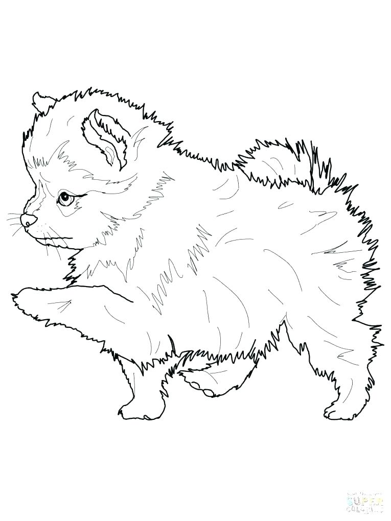 765x1020 Husky Puppy Coloring Pages Husky Dog Coloring Pages Husky Puppy