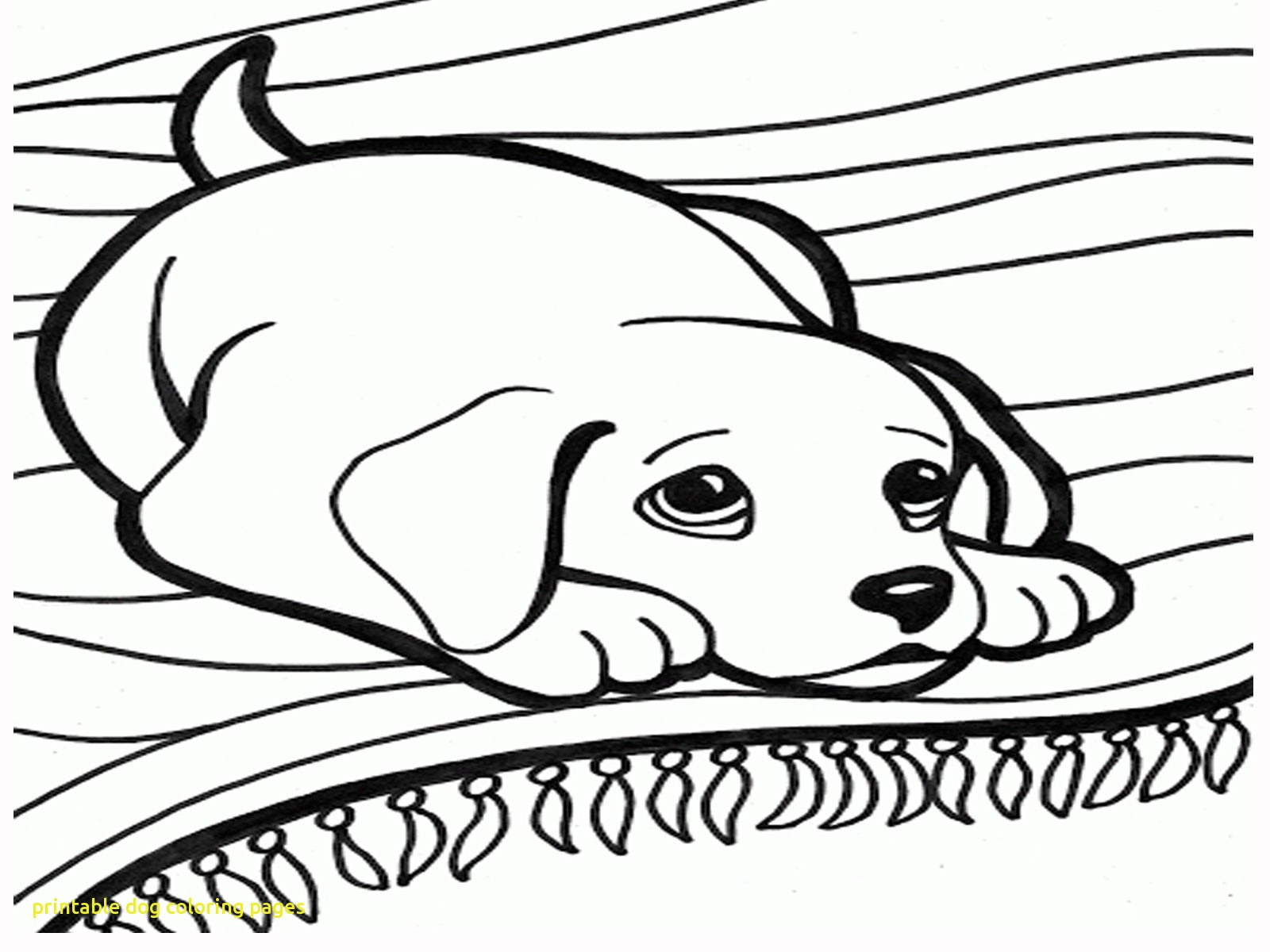 1600x1200 New Coloring Pages Year Of The Dog