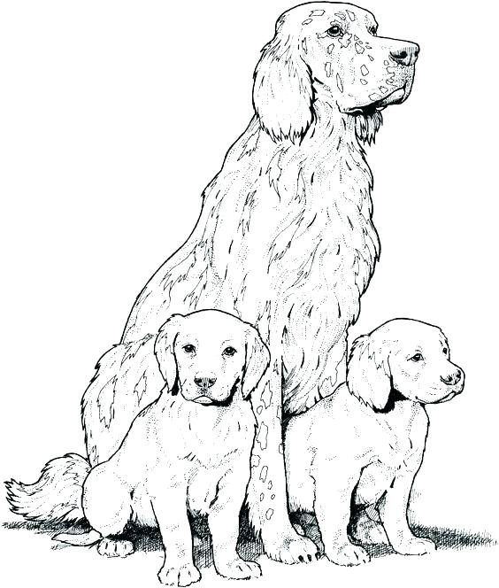 564x664 Charming Dog Coloring Pages Printable Cat Coloring Pages Gorgeous