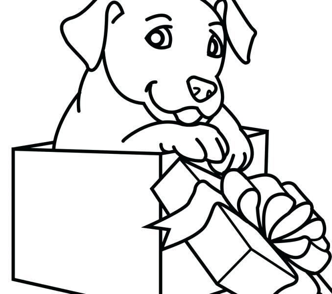 678x600 Dog Coloring Pages For Adults Printable Puppy Coloring Pictures