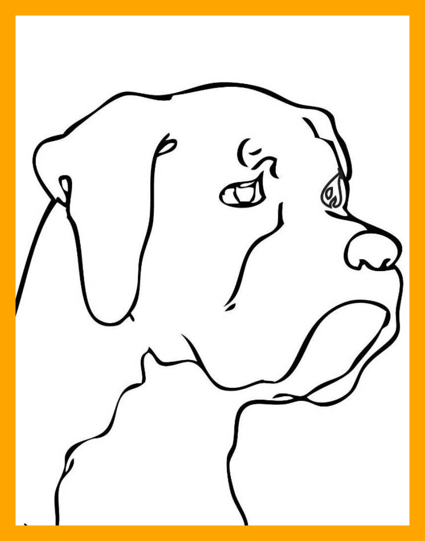 854x1088 Marvelous Dog Face Coloring Ebcs Bbf Image Of German Shepherd