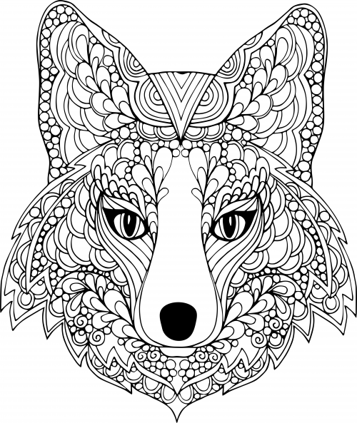 500x593 The Face Of The Dog Free Coloring Page Paulo Coelho, Adult