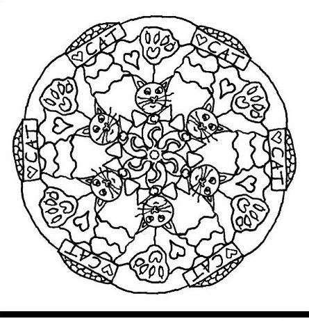 445x461 Pin By Wanda Twellman On Just Cats 3 (And A Few Dogs)