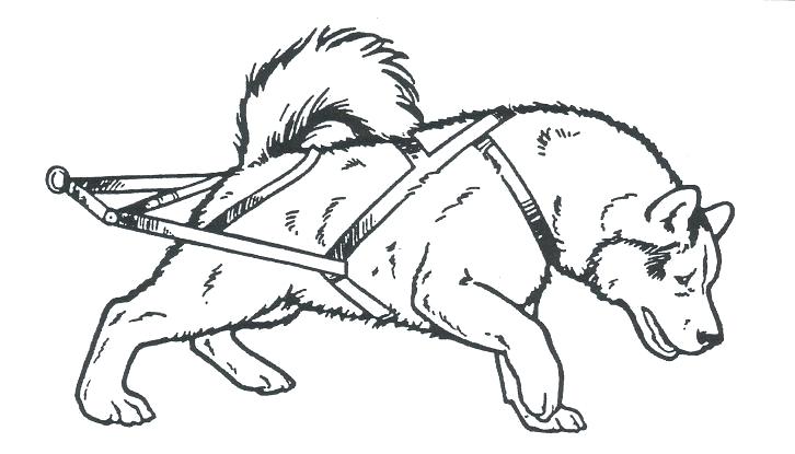 726x415 Dog Sled Coloring Pages Dog Sled Coloring Pictures Interconnect.site