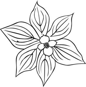 294x298 Creeping Dogwood Coloring Page Clip Art