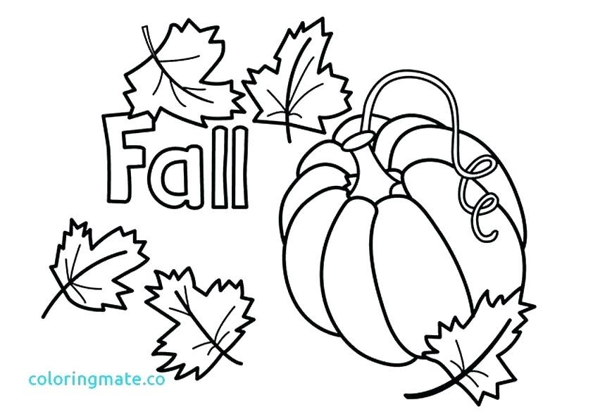 842x595 Fall Leaves Coloring Pages Printable Plus Fall Leaf Coloring Page