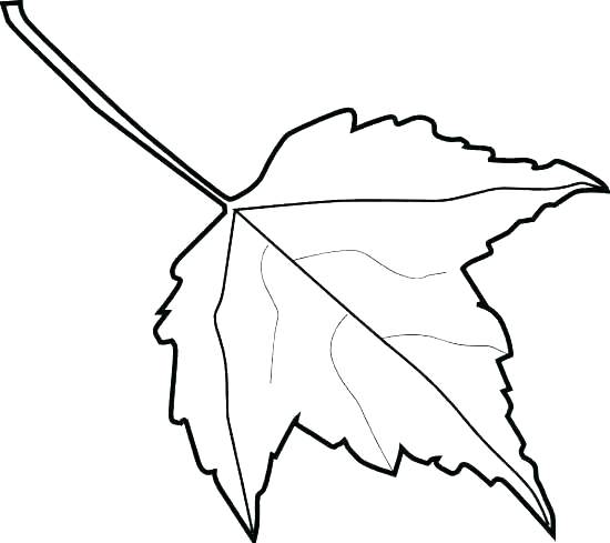 550x489 Autumn Leaf Outline 8 Pics Of Dogwood Leaf Coloring Page Tree Fall
