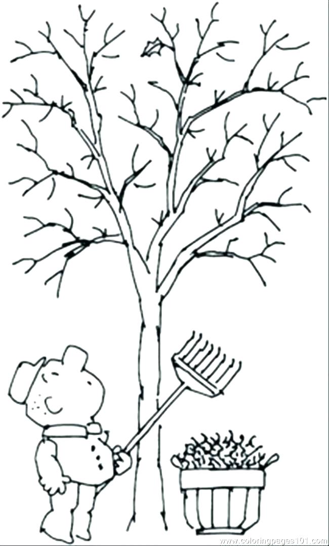 650x1078 Bare Tree Coloring Page Bare Tree Coloring Pages Color Bare Tree