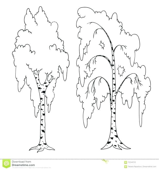 Tree Coloring Pages Book Outstanding Dollar Bible Books Magic 618x661 Tree Coloring Pages Book Outstanding Dollar Bible Books Magic