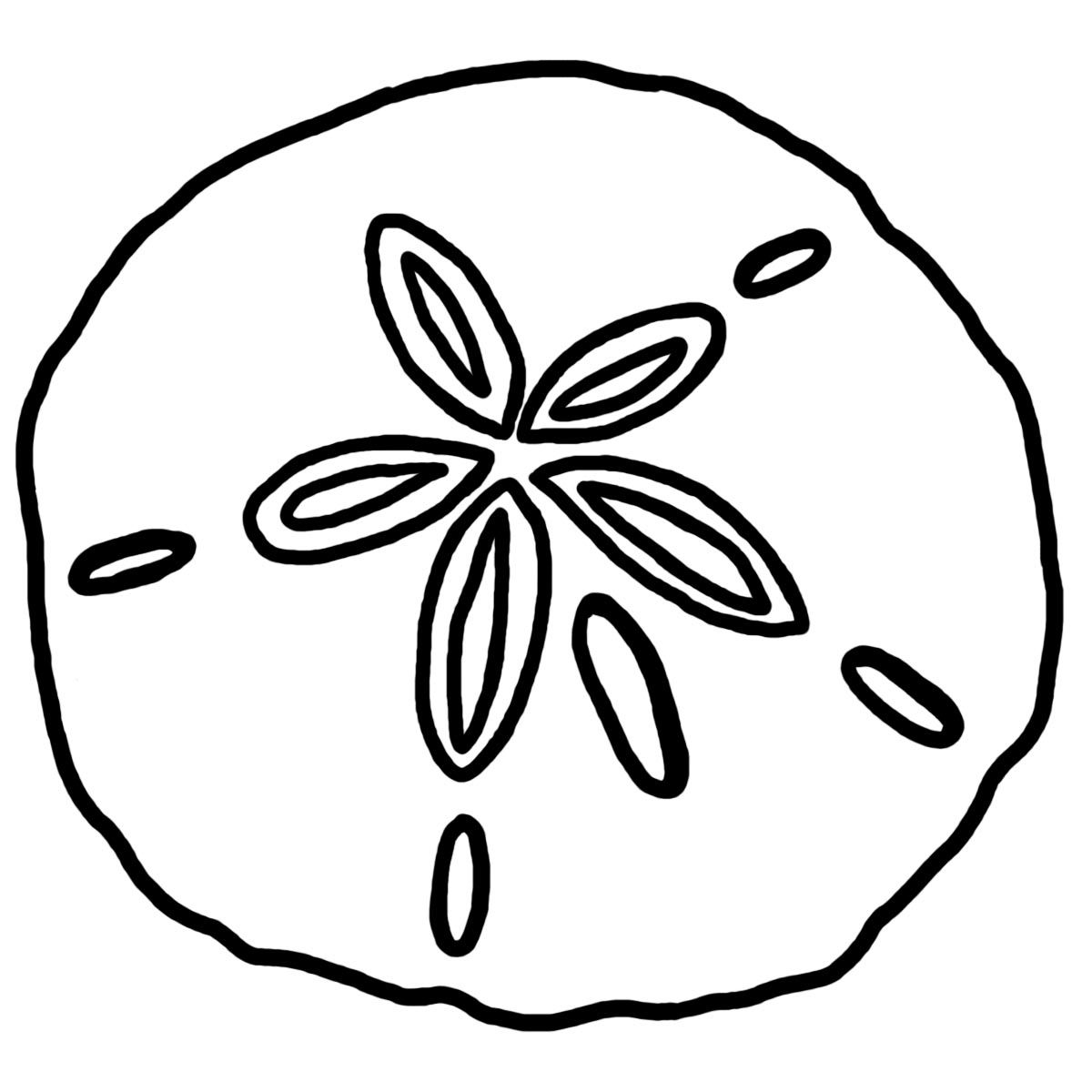 Coloring Pages Shells And Sand Dollars Sand Dollar Custom 1200x1200 Coloring Pages Shells And Sand Dollars Sand Dollar Custom