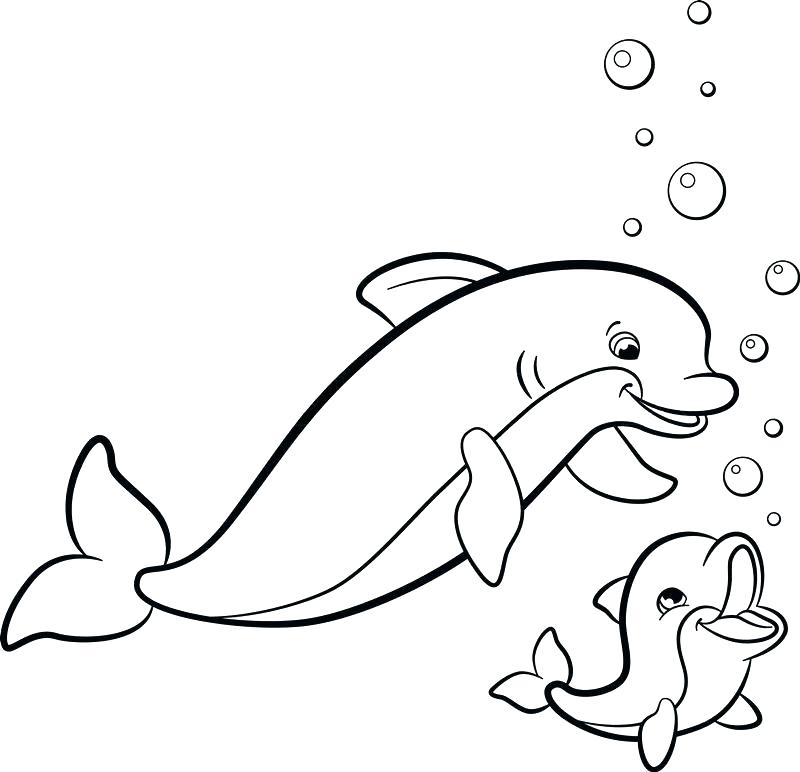 800x772 Marine Coloring Page Baby Dolphin Coloring Pages Coloring Pages