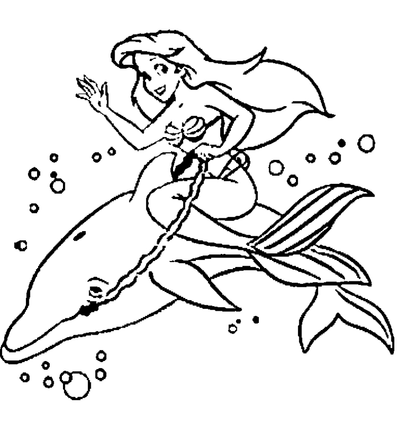 800x831 Dolphin And Mermaid Coloring Page Kids Coloring Pages