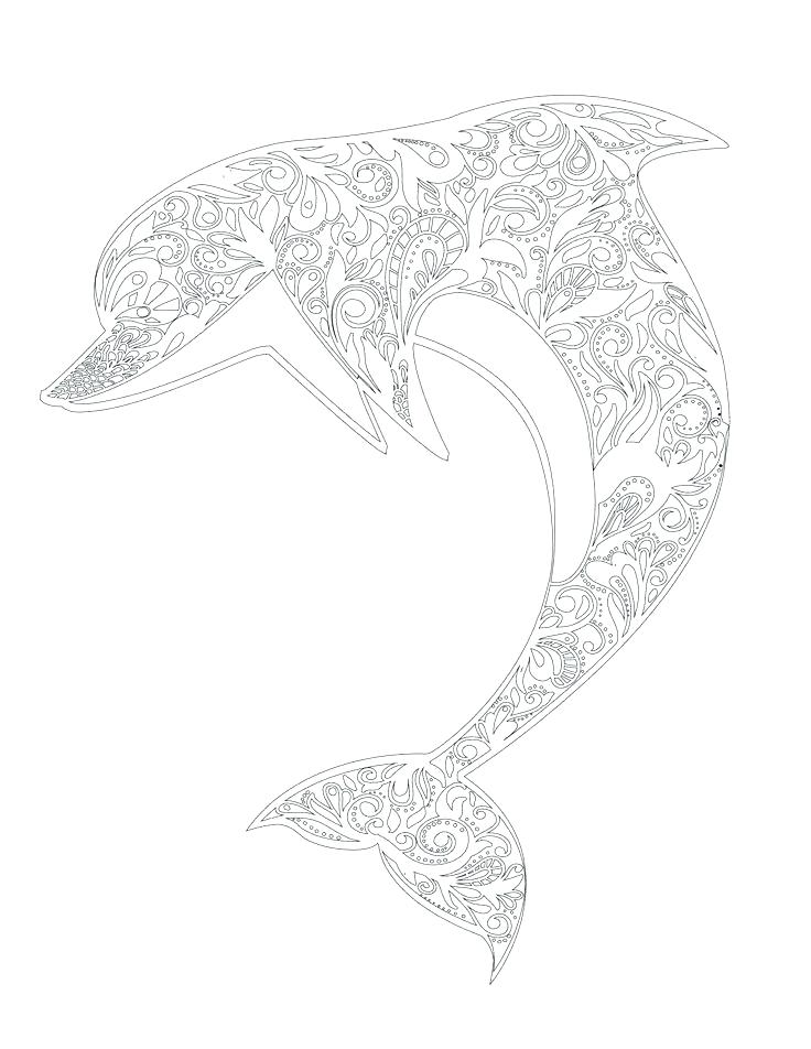 736x952 Dolphin Coloring Pages To Print Out Dolphin Coloring Sheet Adult