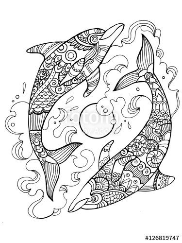 375x500 Dolphin Coloring Page For Adults By Alexander Pokusay On Fotolia