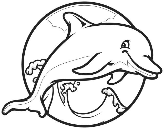 640x503 Cute Dolphin Coloring Pages Adult Coloring Pages