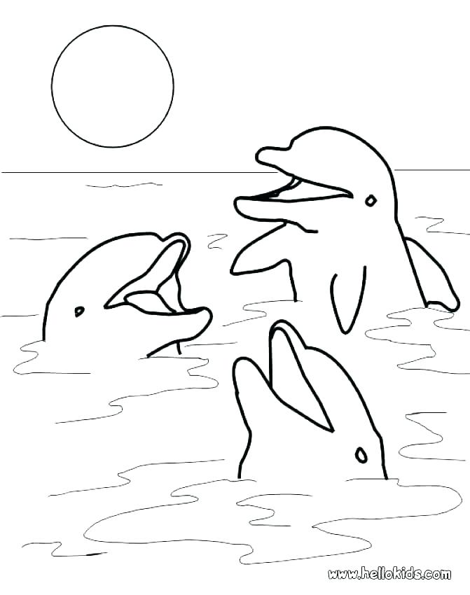 671x850 Dolphin Coloring Page Striped Dolphin Coloring Page Dolphin