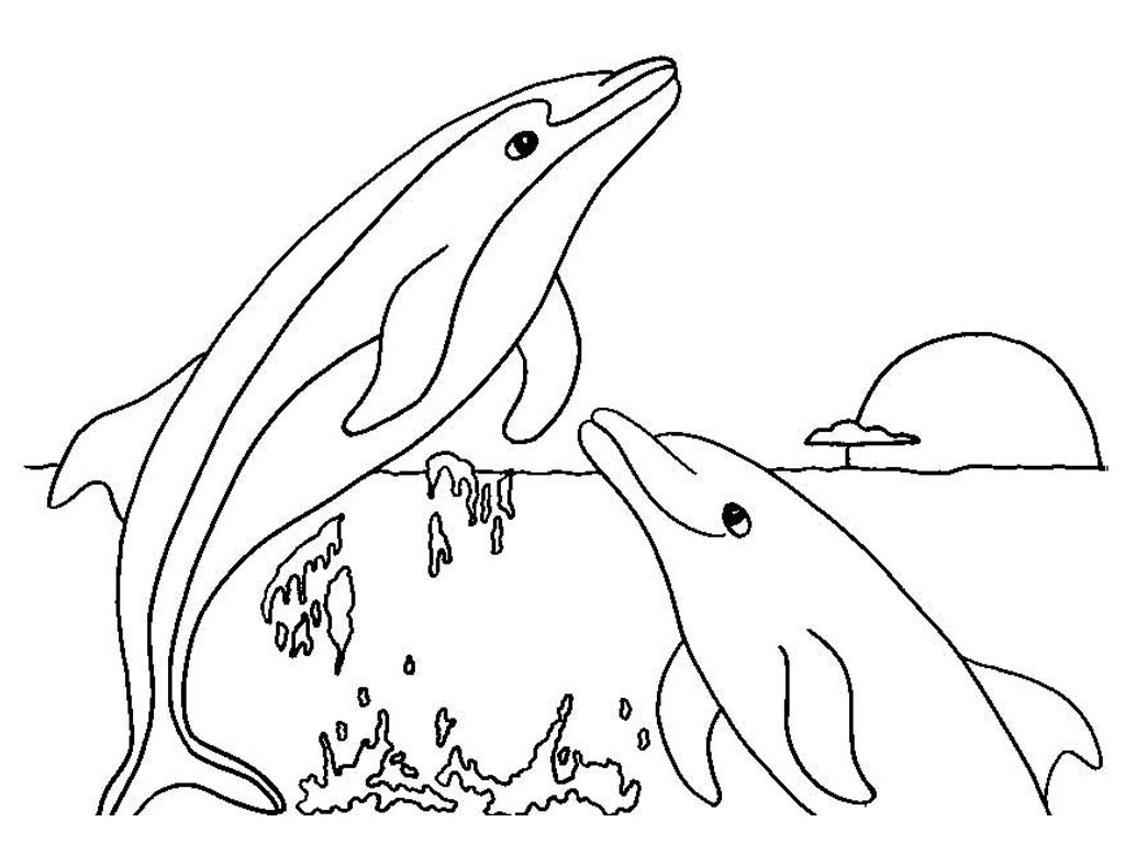 1024x768 Dolphin Coloring Pages Printable Acpra