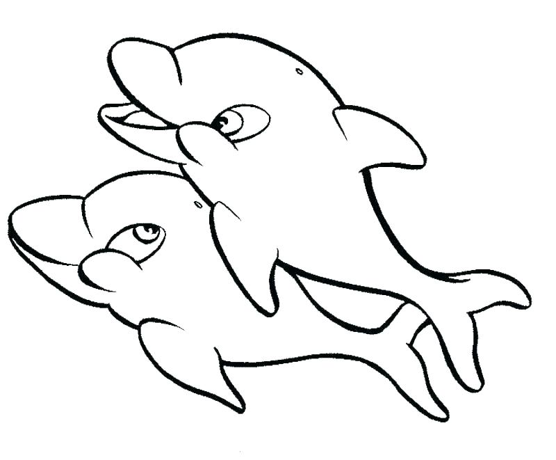 800x661 Free Printable Dolphin Coloring Pages For Adults Page Kids Prin