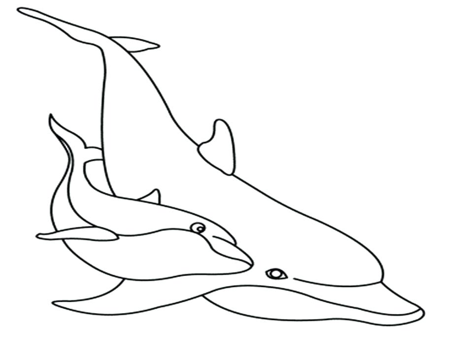 940x705 Selected Winter The Dolphin Coloring Pages Printable Sporturka