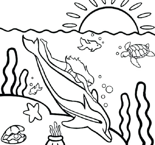 600x558 Swimming Coloring Page Girls Swim Meet Girl With Dolphin Coloring