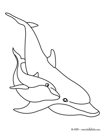 364x470 Dolphin Coloring Pages