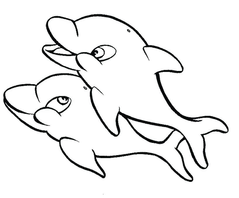 817x675 Dolphin Animals Printable Coloring Pages Printable Dolphin