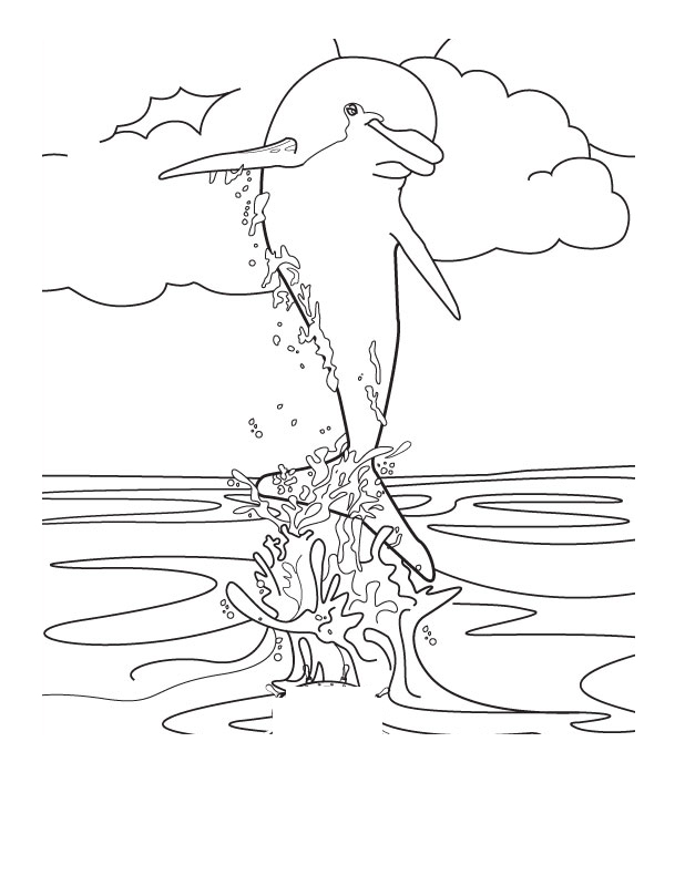 618x800 Growth Winter The Dolphin Coloring Pages Kids Zone Clearwater