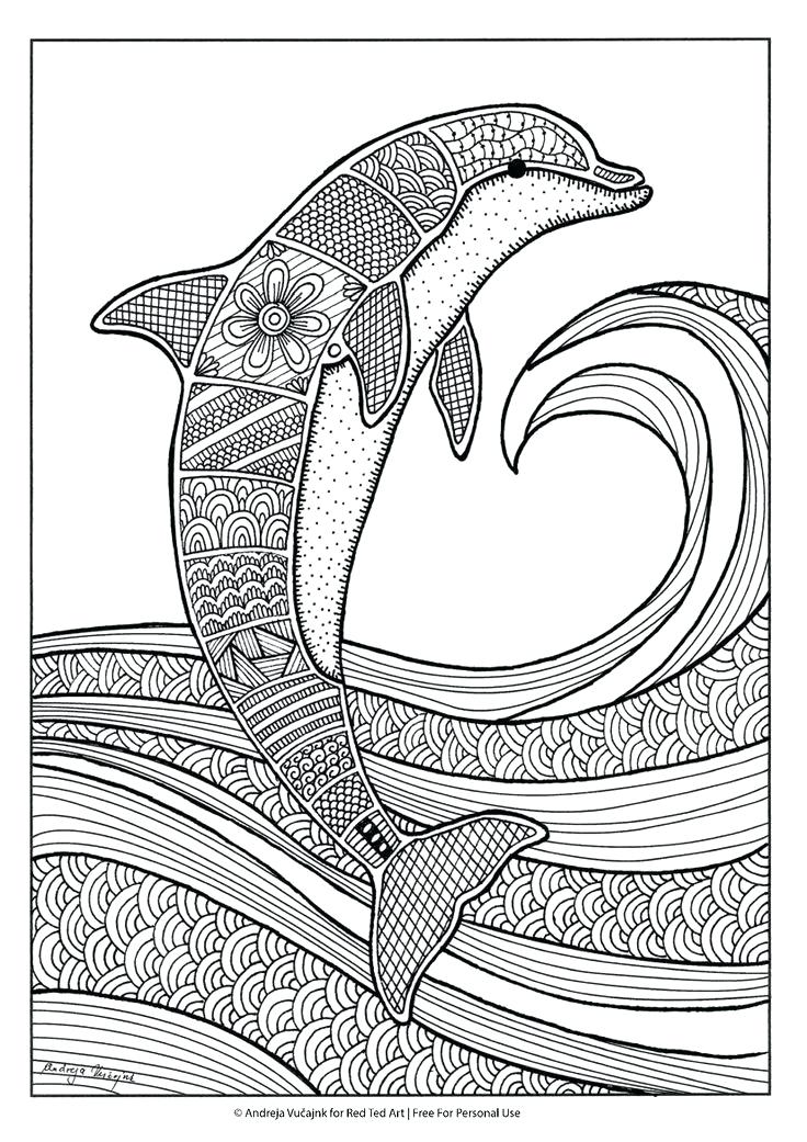 736x1041 Printable Dolphin Coloring Pages Coloring Pages Of Dolphins