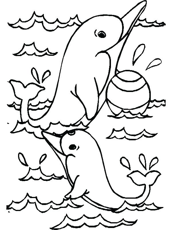 600x800 Dolphin Coloring Pages Printable