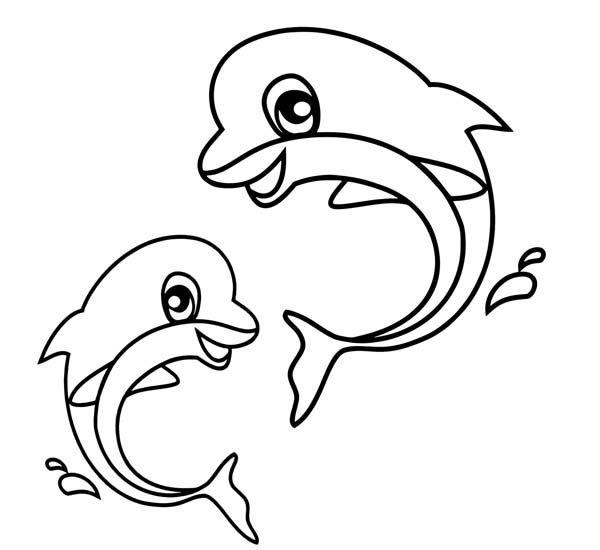 600x550 Dolphin Printable Coloring Sheets Baby Dolphin In Action Sea