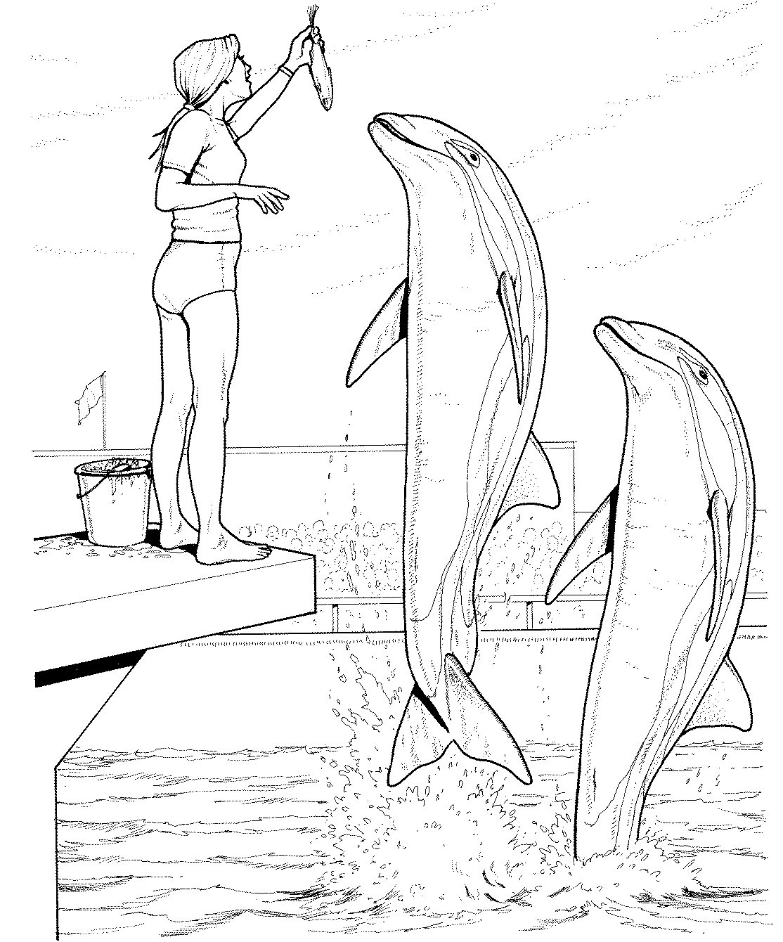 1114x1340 Dolphin Coloring Pages