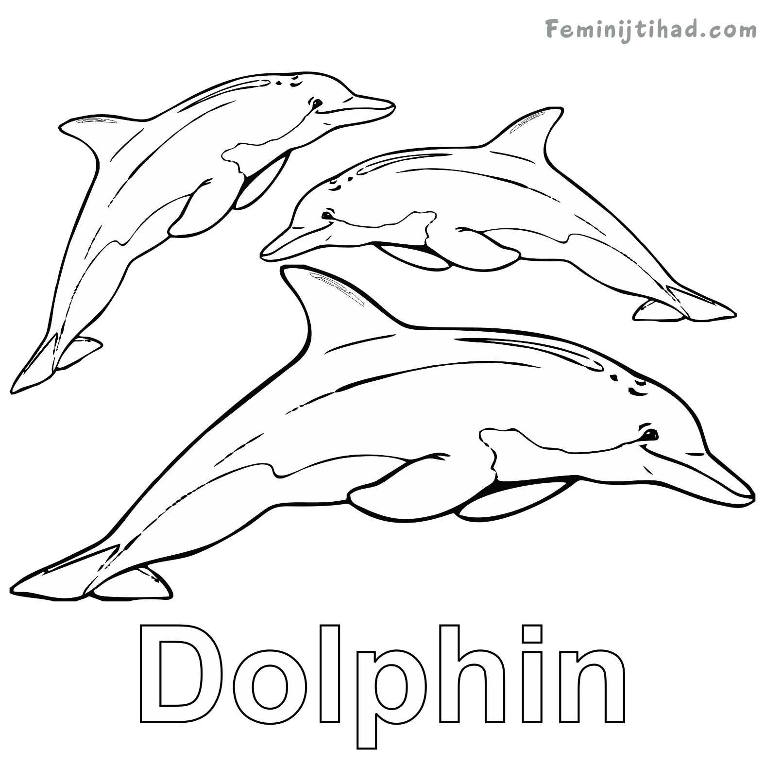 1575x1575 Dolphin Coloring Pages Printable Coloring Pages For Kids