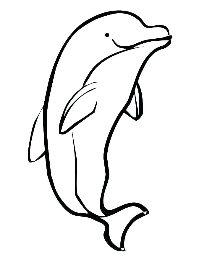 700x905 Dolphin Coloring Pages Printable Dolphin Coloring Book Together