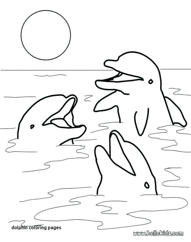 671x850 Dolphin Print Out Coloring Pages Dolphin Print Out Coloring Pages