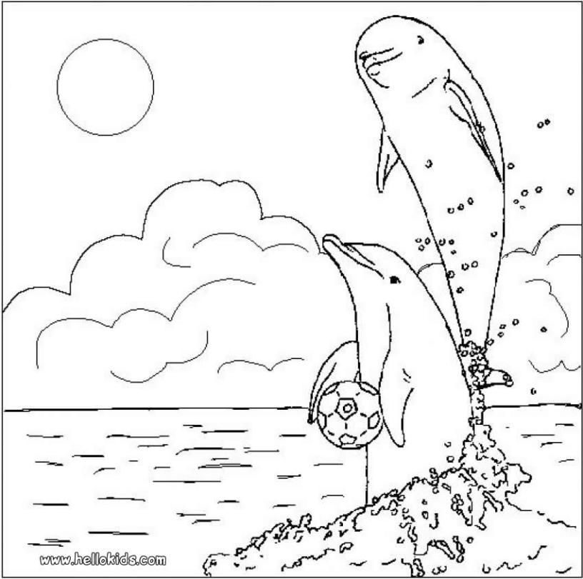 816x811 Dolphins In Love Coloring Page. Nice Coloring Sheet Of Sea World